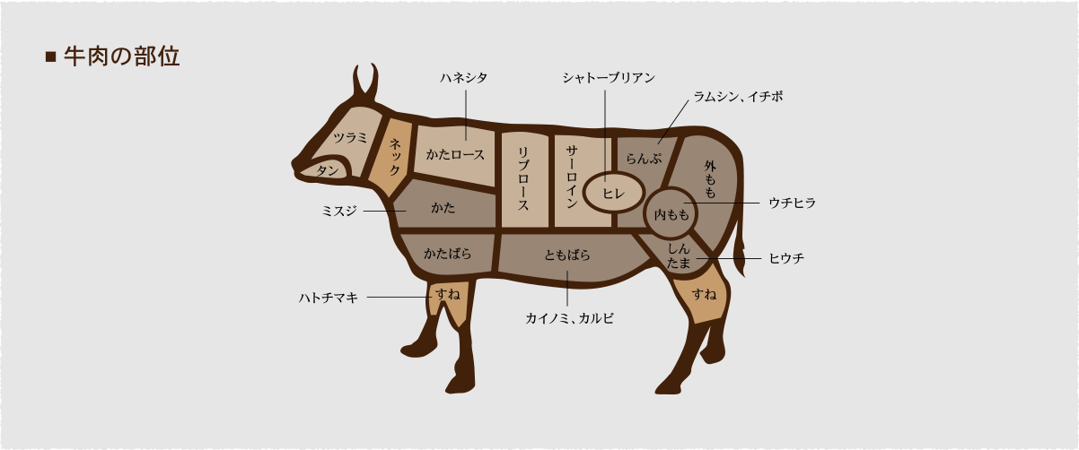 牛肉の部位